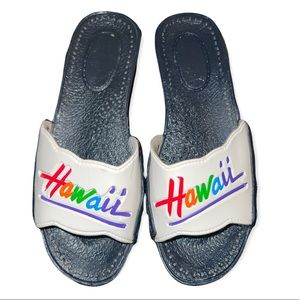Vintage Hawaii Rainbow Slides